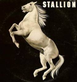 Stallion (USA) : Stallion